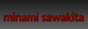 minami sawakita